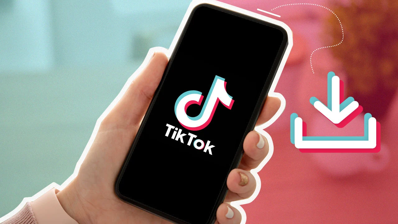 TikTok Downloader
